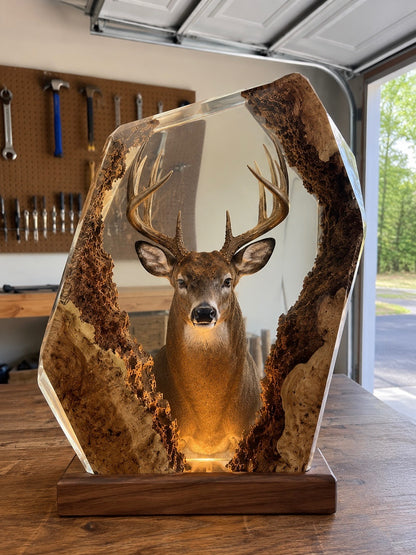 The Hunter Workshop
